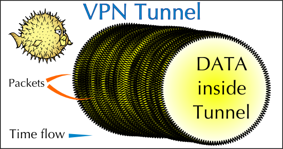 VPN Tunnel
